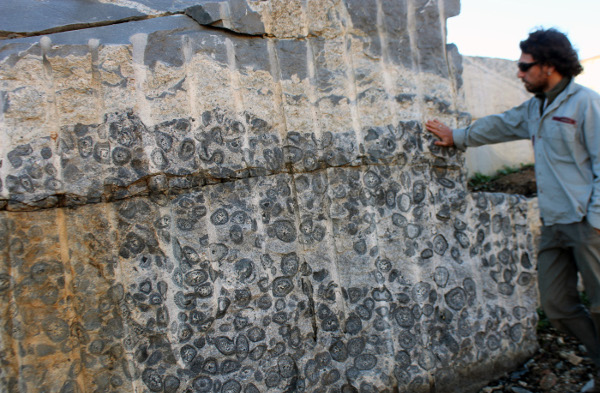 Orbicular granite