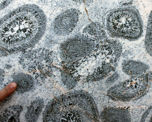 Orbicular granite