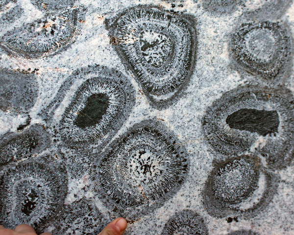 Orbicular granite