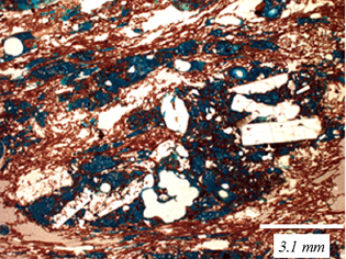 vesicle, strain partitioning in lava