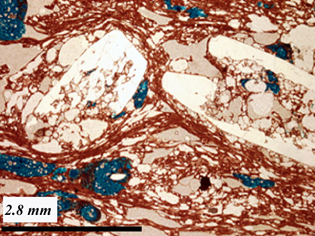 shear zone in flowing lava