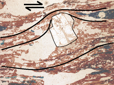 crystal and vesicle forming a sigmoid