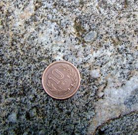 cordierite in tonalite