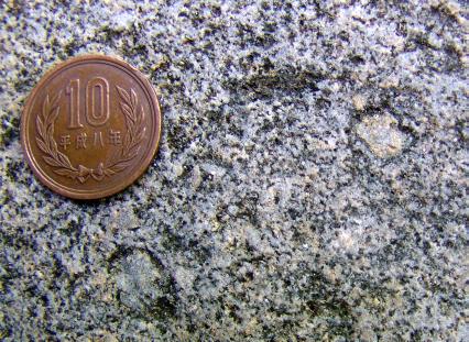 biotite-rimmed
cordierite in tonalite