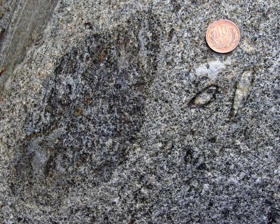 biotite-rimmed
sillimanite in tonalite