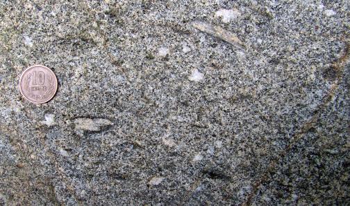 biotite-rimmed
sillimanite in tonalite