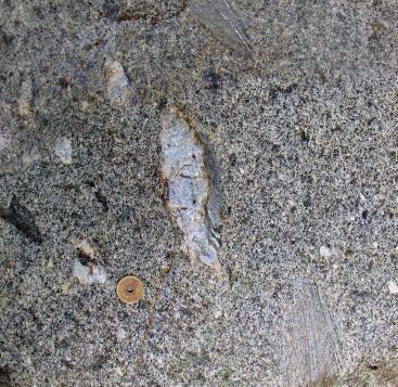 S-type tonalite with sillimanite and xenoliths