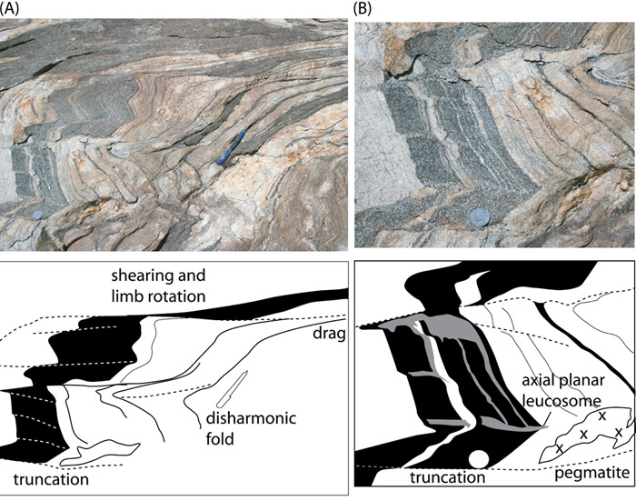 axial planar leucosome in folded migmatite, 2361 fold