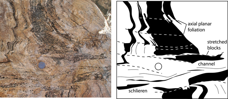 Gradual
transposition in folded migmatite, Line_drawing_2245.