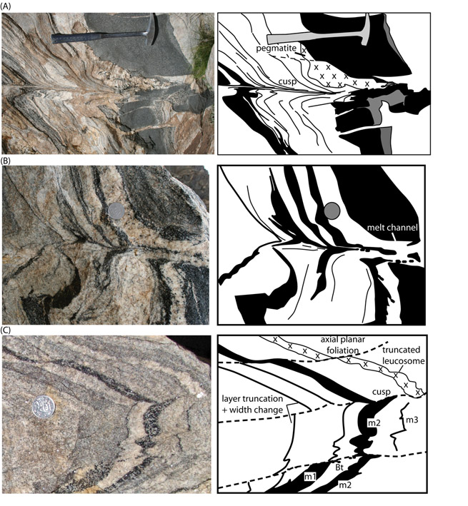 Cuspate fold hinges in migmatite, Figure4_cusps