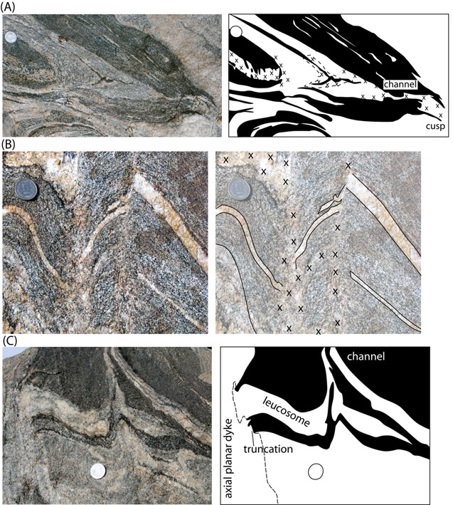 typical features
of metatexite folds, Figure2_folds