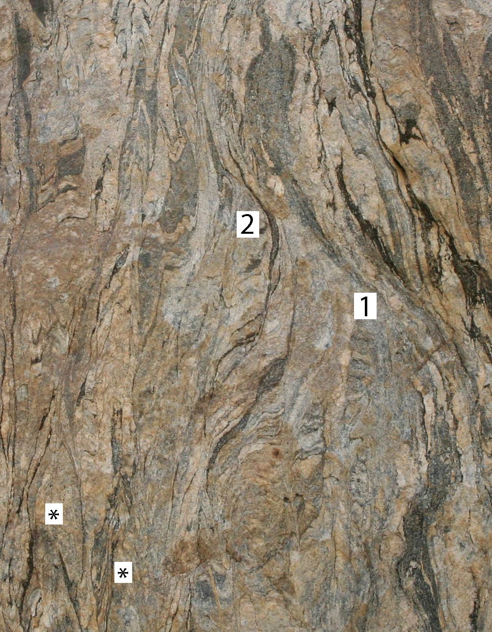 advanced stages of transposition to diatexite, 2252_part