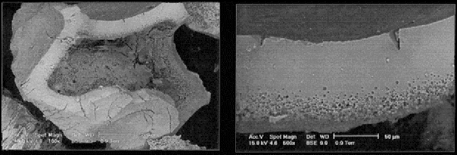 Ductile
fractures in vesicle walls