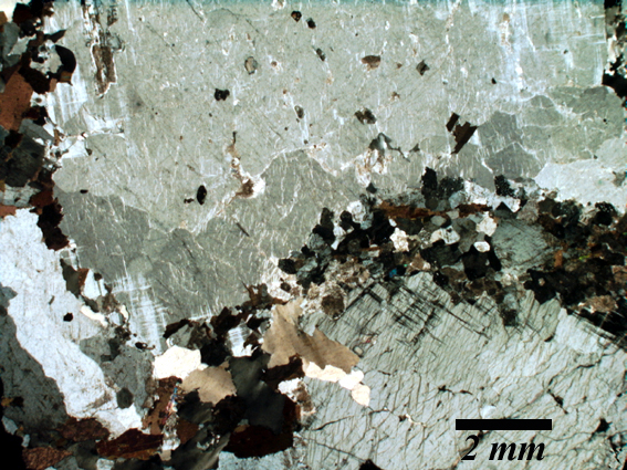 Phtotomicrograph, bent megacryst