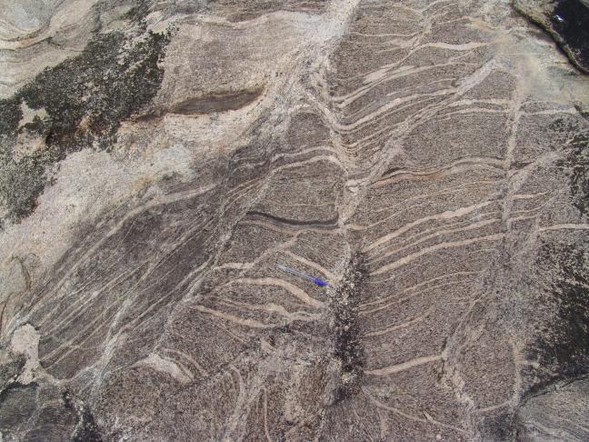 migmatite