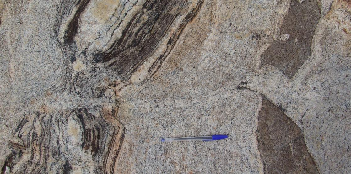 Sertania migmatite