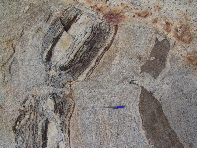 boudin in migmatite