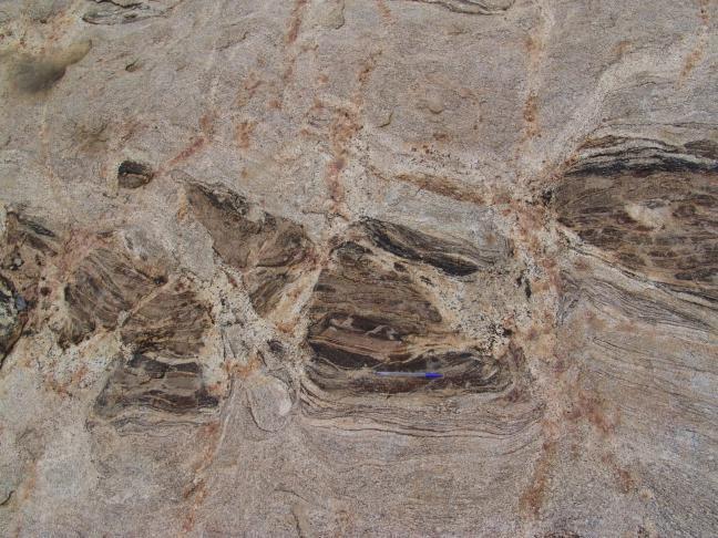 shearing in migmatite