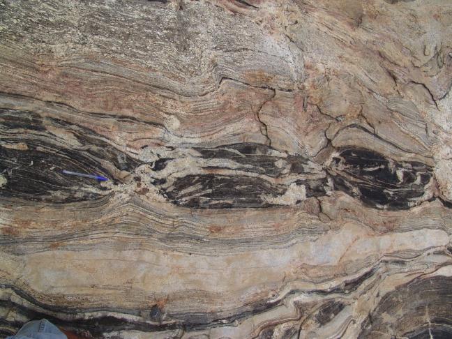 boudin in migmatite