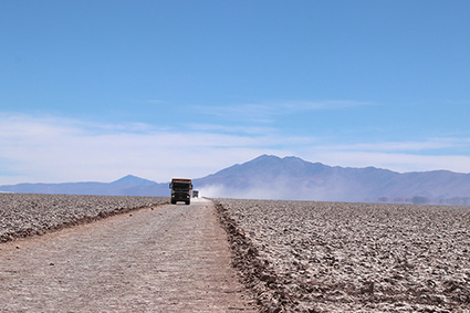 trucks in salar