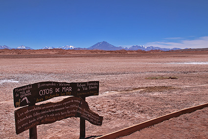 stromatolites