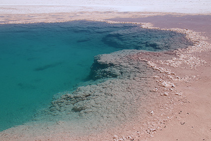 stromatolites