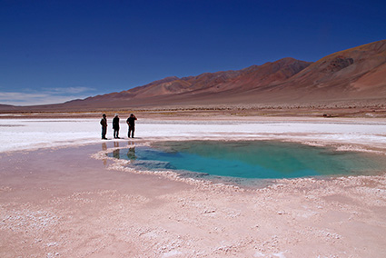 stromatolites