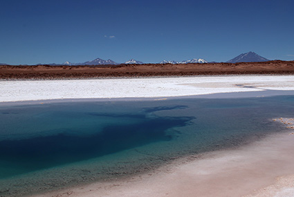 stromatolites