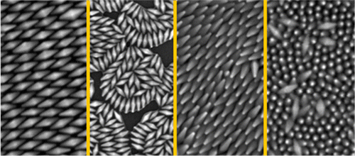 2D Bipyrymid superlattices