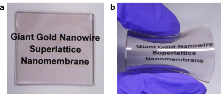 Giant Super Membrane