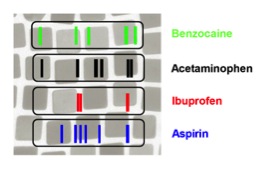 plasmene SERS barcode