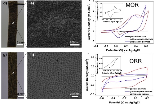 flexible nanorod electrod