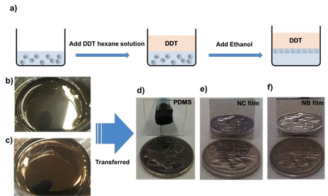 plasmonic mirrors